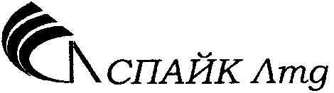 спайк