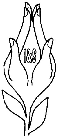 i&s