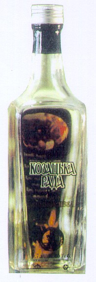 козацька рада