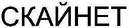 скайнет