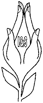 i&s