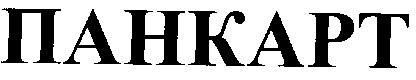 панкарт