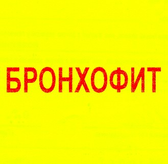 бронхофит