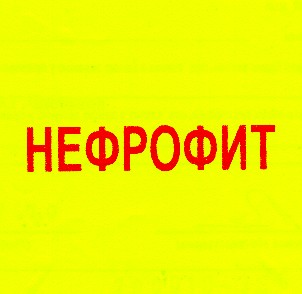 нефрофит