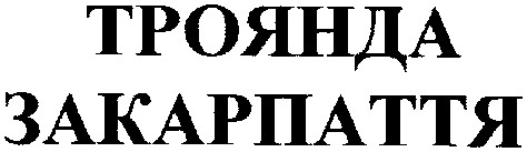 троянда закарпаття
