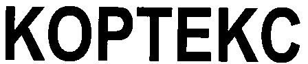 кортекс