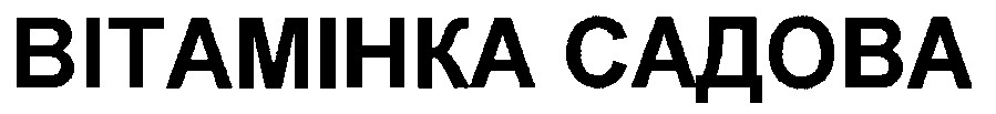 вітамінка садова