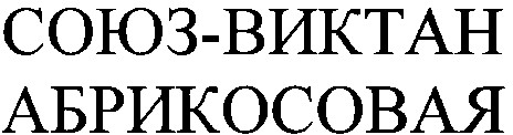 союз-виктан абрикосовая