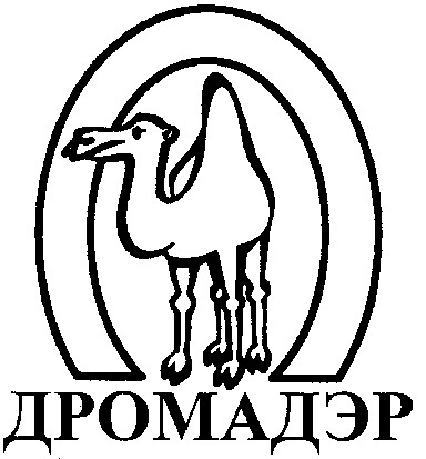дромадэр