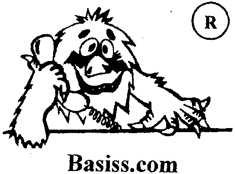 basiss.com