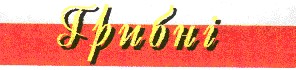 грибні