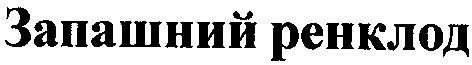 запашний ренклод