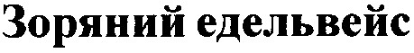 зоряний едельвейс
