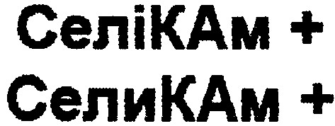 селикам