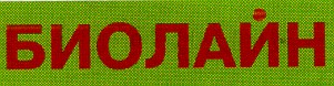 биолайн