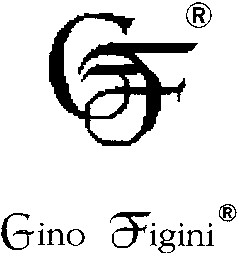 gino figini