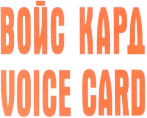 voice card