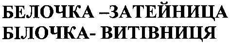 белочка-затейница