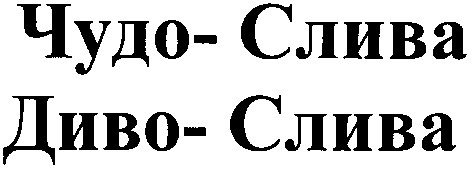 чудо-слива