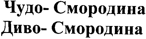 чудо-смородина