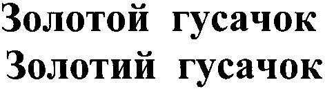 золотой гусачок