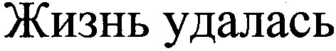 жизнь удалась