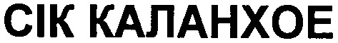сік каланхое