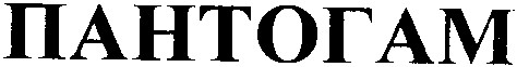 пантогам