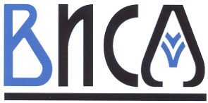 виса
