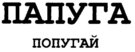 попугай