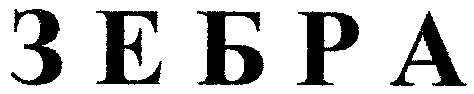 зебра