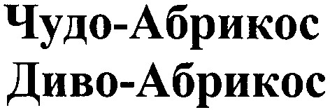диво-абрикос
