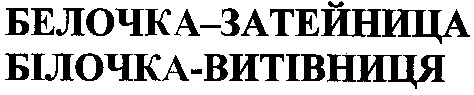 белочка-затейница