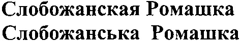 слобожанская ромашка