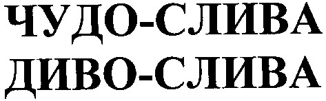 диво-слива
