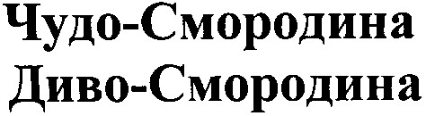 диво-смородина