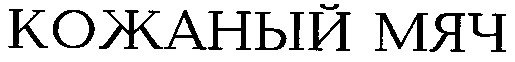 кожаный мяч