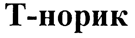 т-норик