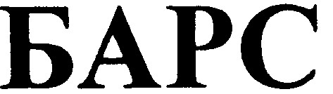барс