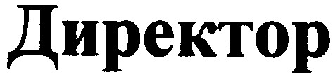 директор