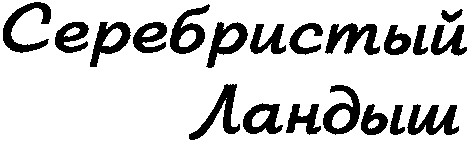 серебристый ландыш