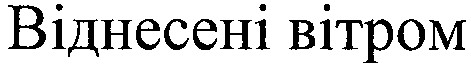 віднесені вітром
