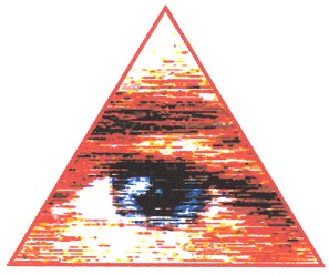 Фігуративна марка № 34961