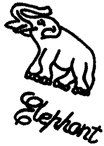 elephant