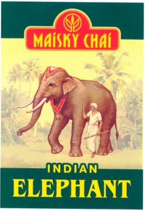 indian elephant