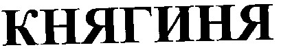 княгиня