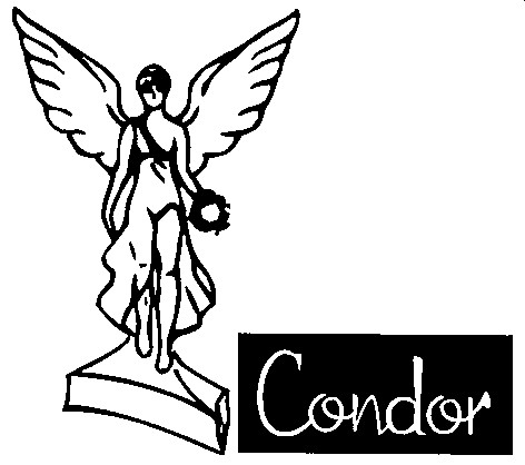 condor