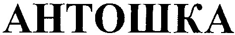 антошка