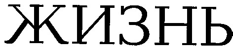 жизнь