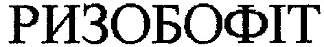 ризобофіт